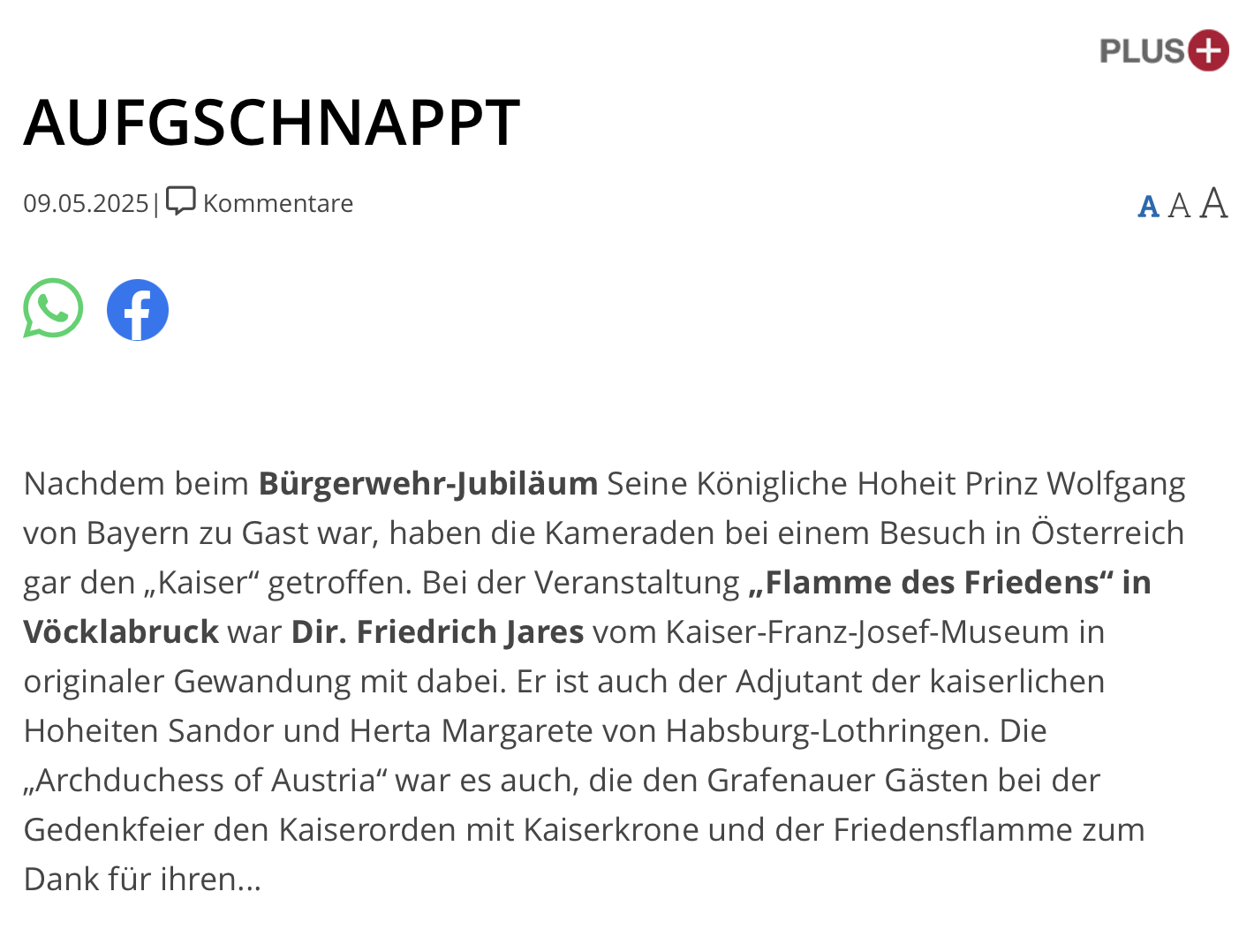 Gedenkfeier „Flamme des Friedens“ in Vöcklabruck 05.2025